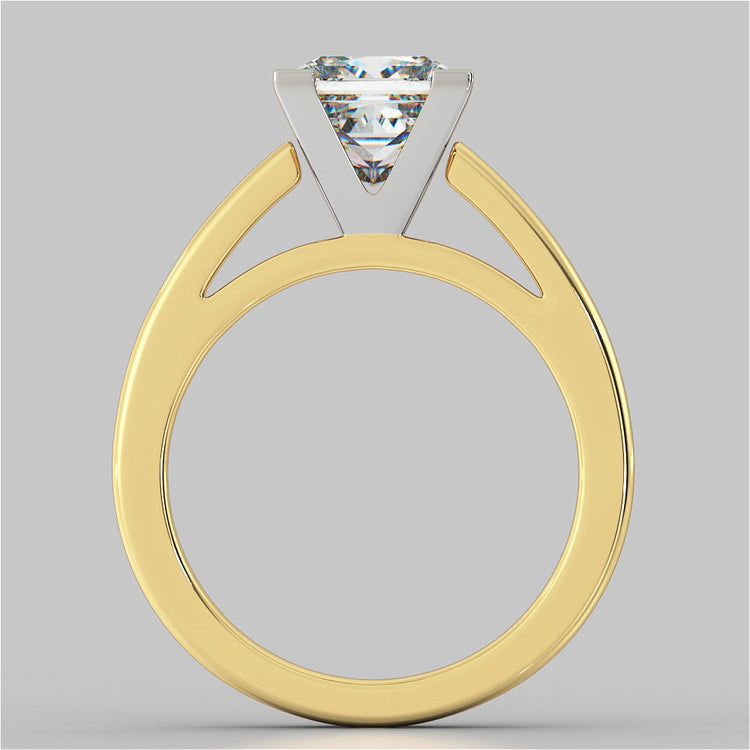 Princess Cut Cathedral Style Engagement Ring