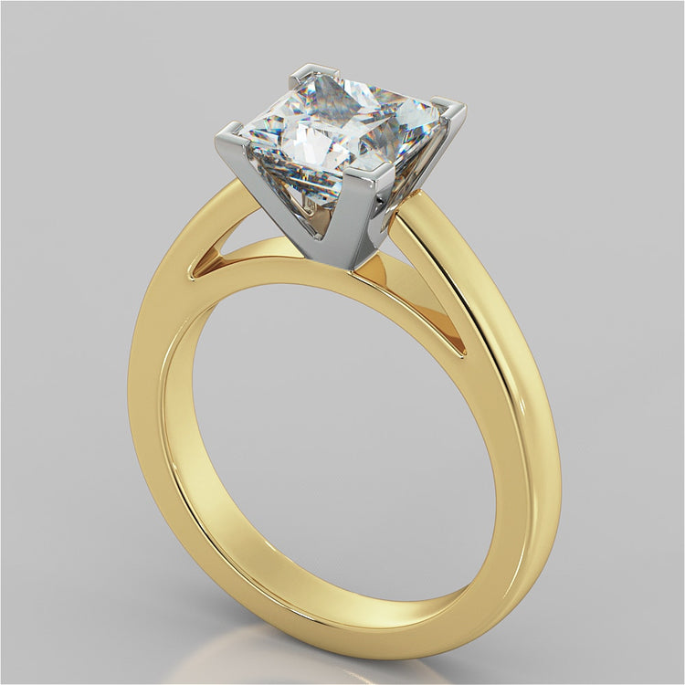 Princess Cut Cathedral Style Engagement Ring