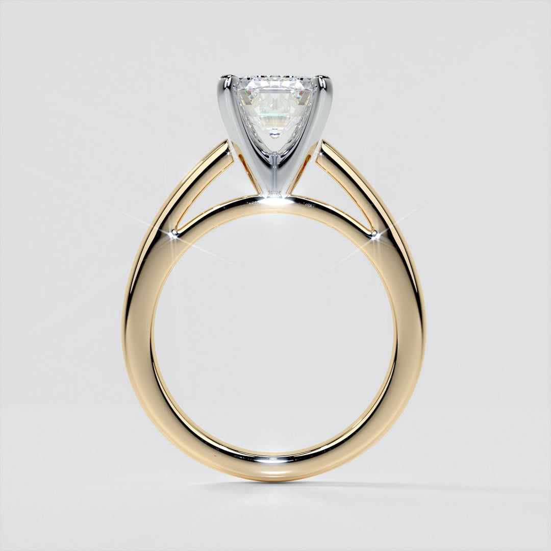 Emerald Cut Cathedral Style Engagement Ring