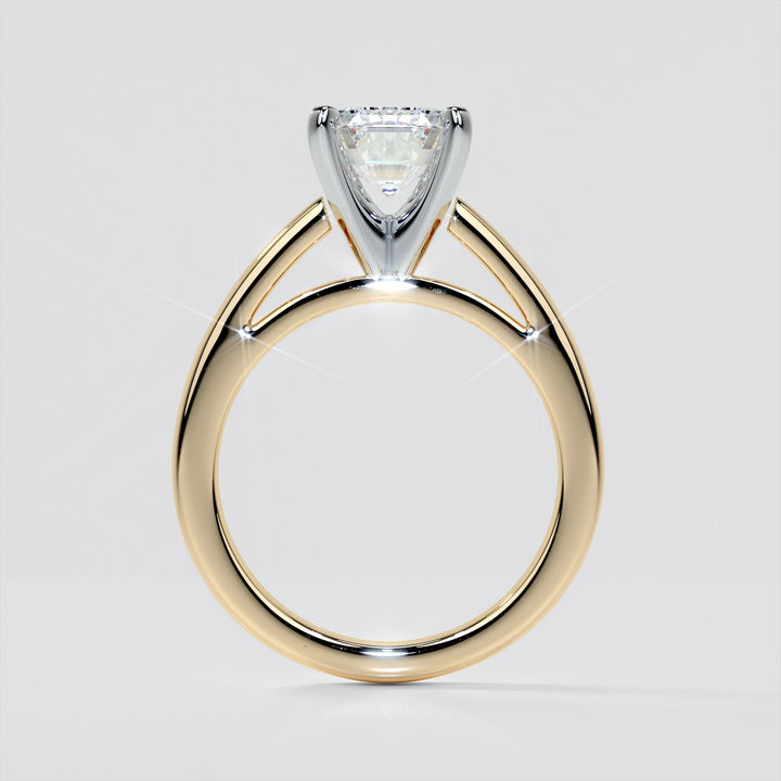 Emerald Cut Cathedral Style Engagement Ring