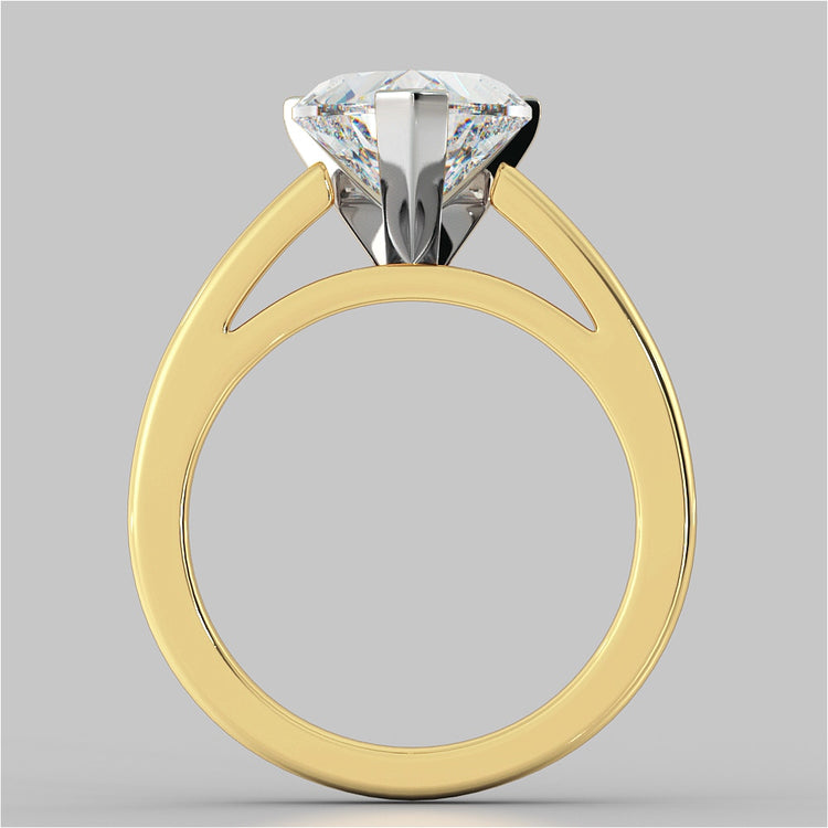 Heart Cut Cathedral Style Engagement Ring