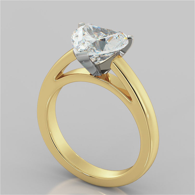 Heart Cut Cathedral Style Engagement Ring