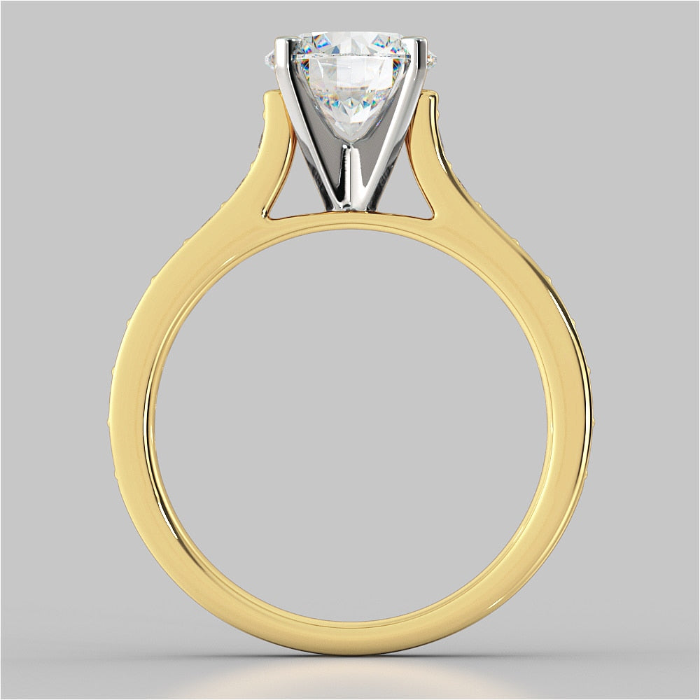 Round Cut Cathedral Style Channel Engagement Ring With Accents