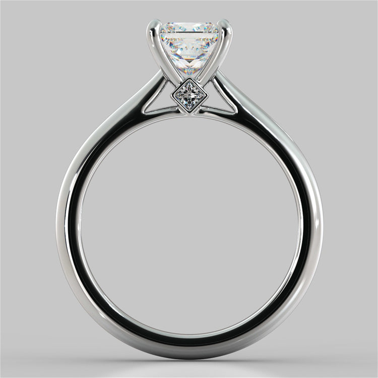 Princess Cut Cathedral Engagement Ring With Accents