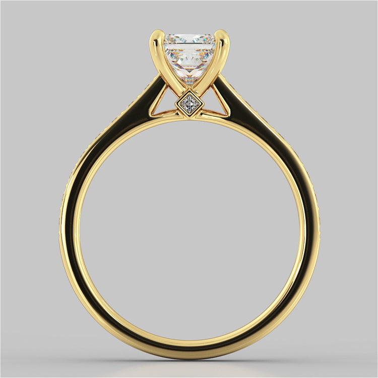 Princess Cut Accented Cathedral Engagement Ring