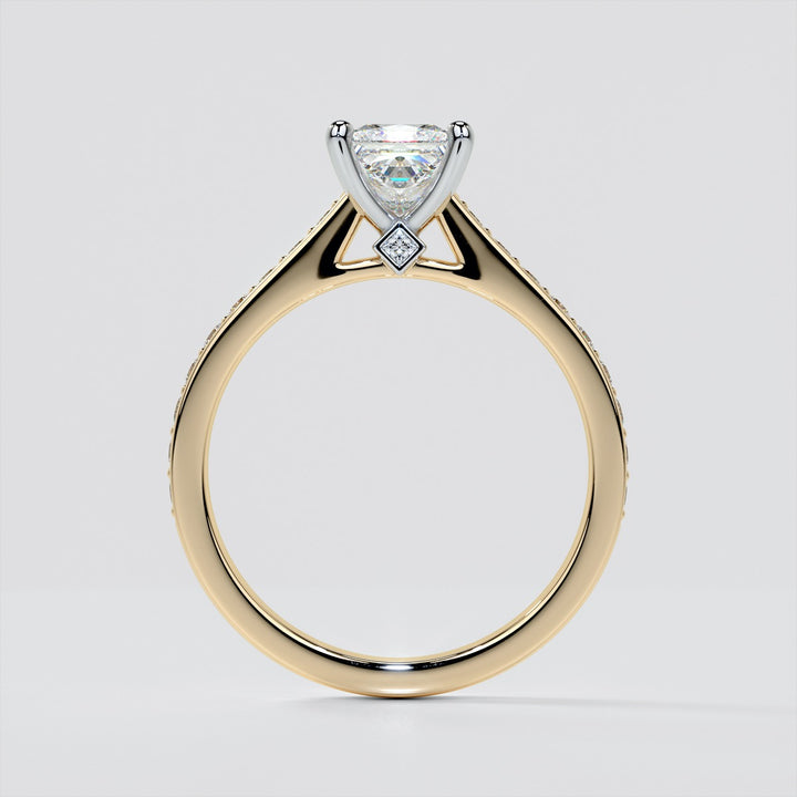 Princess Cut Accented Cathedral Engagement Ring