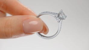 Princess Cut Accented Cathedral Engagement Ring